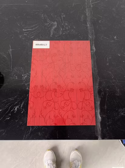 Bande de bande en acier inoxydable de haute qualité, ceinture en acier inoxydable 304 SS